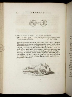 Albinus. [ ... mit Abbildungsbeschreibung].