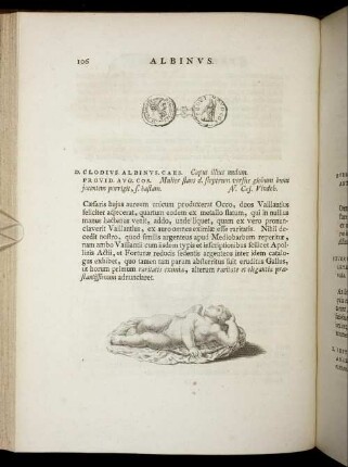 Albinus. [ ... mit Abbildungsbeschreibung].