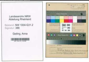Entnazifizierung Anna Geiling , geb. 12.03.1900 (Gastwirtin)