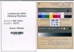 Entnazifizierung Wilhelm Brand, geb. 26.12.1902 (Buchhalter)