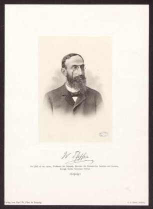 Pfeffer, Wilhelm