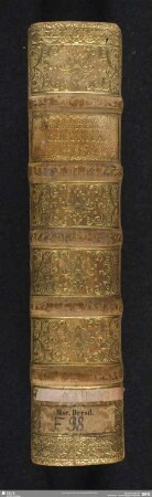 Chroniken - Mscr.Dresd.F.98