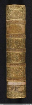 Chroniken - Mscr.Dresd.F.98