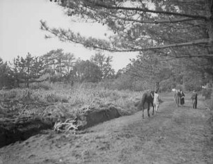 Insel Oshima : Aufstieg zum Vulkan Mihara