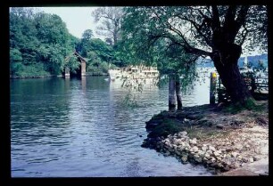 Pfaueninsel 13.5.67.