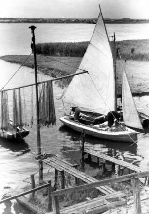 An der Oberelbe. Freizeit-Segler haben eine kleine Bucht entdeckt. Hier haben auch Fischer ihre Netze ausgebreitet.
