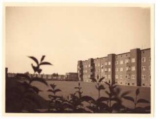 Wohnsiedlung (Kleinstwohnungen) an der Pfarrstraße, Hindenburg: Randbepflanzung der Grünanlage der Siedlung Mehrfamilienhaushaus angrenzend, Laubengang im Hintergrund
