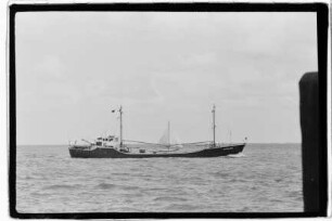 Simone (1961), Logemann, Brake