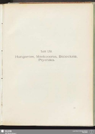 Tafel LXI. Hungarites, Meekoceras, Beneckeia, Ptychites