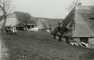 Görwihl, Bauernhäuser : Görwihl-Segeten. Bauernhäuser. Bergseite