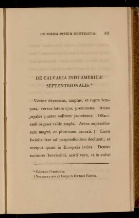 De Calvaria Indi Americae Septentrionalis