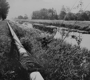Archivfotografie "emsland_verschiedenes_13514"