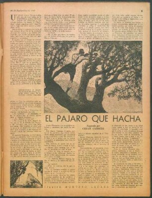 El pájaro que hacha : Leyenda por Cesar Carrizo
