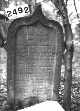 Grabstein 2492