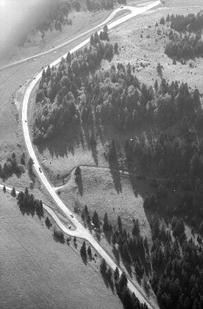 Todtnau: Straße im Schwarzwald, bei Todtnau