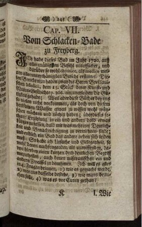Cap. VII. Vom Schlachten-Bade zu Freyberg.