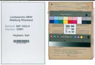 Entnazifizierung Karl Haybach , geb. 28.02.1910 (Maler)