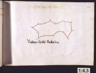 Ensinger Hut: Vaihinger Spital Barttenberg