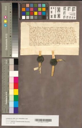 Werner Krevet, Domherr zu Paderborn, und Wilhem Krevet, Sohn des (+) Wilhelm Krevet, vedderen, geloben, den von ihnen mit Konsens ihres Lehnsherren Bernhard VII. zur Lippe an das Busdorfstift zu Paderborn für 200 Rhein. Gl. verkauften Zehnt zu Hustede vor Geseke binnen sechs Jahren wieder auszulösen.