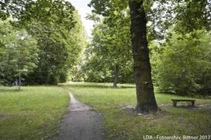 Reste des ehemaligen Lennéparks; Berlin, Pankow