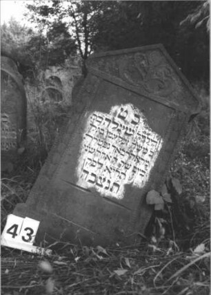 Grabstein 43