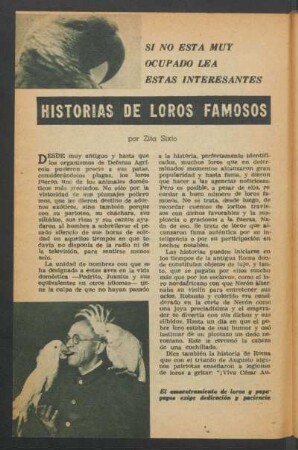 Si no está muy ocupada lea estas interesantes historias de loros famosos