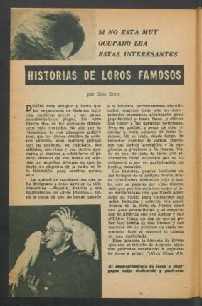 Si no está muy ocupada lea estas interesantes historias de loros famosos