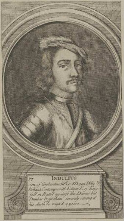 Bildnis des Indulfus, König von Schottland