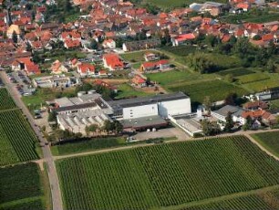 Rhodt unter Rietburg (Pfalz)