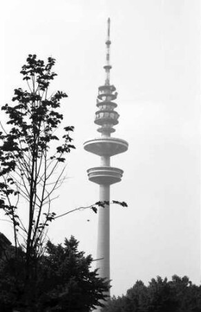 Hamburg: Fernsehturm und Baum