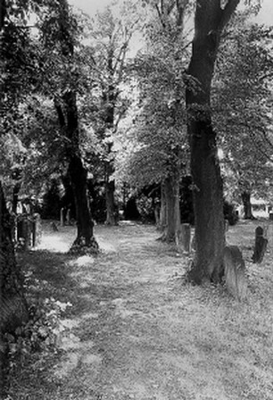 Jüdischer Friedhof; Hofheim am Taunus, Am Judenfriedhof