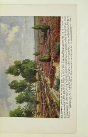 Die Lüneburger Heide an der mittleren Luhe