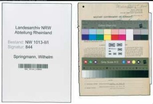 Entnazifizierung Wilhelm Springmann , geb. 21.04.1901 (Ingenieur)