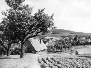 Obergurig, Ortsansicht gegen den Mönchswalder Berg von Norden