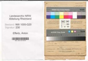 Entnazifizierung Anton Effertz , geb. 05.08.1907 (Tischler)