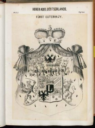 Taf. 44. Fürst Esterhazy.