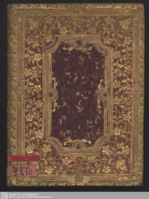 Descriptio Romae Novae et Antiquae etc. - Mscr.Dresd.P.210