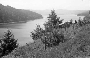 Blick auf den Schluchsee