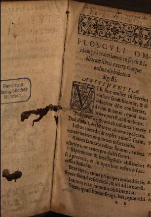 Flores bibliae sive loci communes omnium fere materiarum ex Veteri ac Novo Testamento excerpti