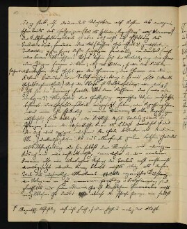 Entwürfe zu Veröffentlichungen über die Tendaguru-Expedition 1911