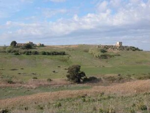 Landschaft im Tempelbezirk von Selinunt