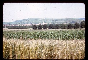 Blick auf Jechtingen