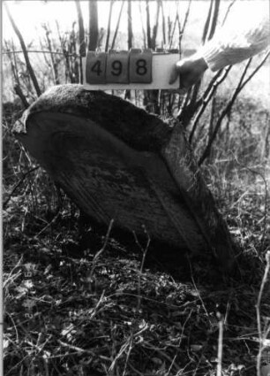 Grabstein 498