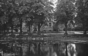 Mühlenteich: am gegenüberliegenden Ufer hinter Bäumen Gaststätte "Glinder Mühle" [ehemalige Villa]