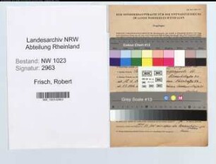 Entnazifizierung Robert Frisch , geb. 18.04.1913 (Elektriker)