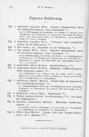 Figuren-Erklärung.