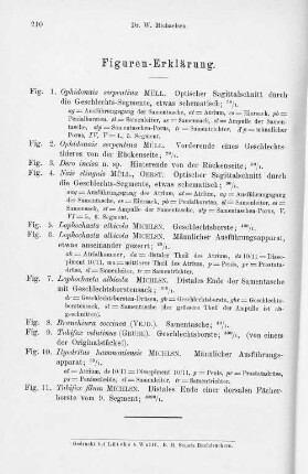 Figuren-Erklärung.