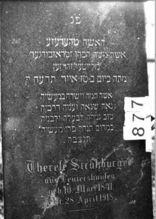 Grabstein 877 (Index: 99802491) Material: Granit, poliert Zustand: gut Maße HxBxT: 189x61x16 cm Beschreibung: Sockel, Stele mit Flachbogenabschluß Besonderheit: Endreim: Grabstein 877 (Detailaufnahme)