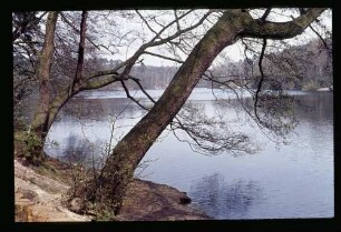 Krumme Lanke 27.4.75.