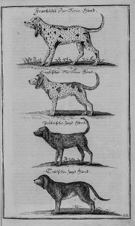 Französich Par Force Hund, Englischer Par Force Hund, Pohlnischer Jagd Hund, Teutscher Jagd Hund, Abbildung nach Seite 174